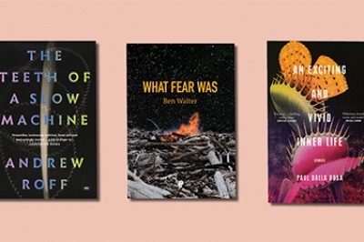 Anthony Lynch reviews &#039;The Teeth of a Slow Machine&#039; by Andrew Roff, &#039;What Fear Was&#039; by Ben Walter, and &#039;An Exciting and Vivid Inner Life&#039; by Paul Dalla Rosa