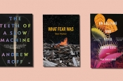 Anthony Lynch reviews 'The Teeth of a Slow Machine' by Andrew Roff, 'What Fear Was' by Ben Walter, and 'An Exciting and Vivid Inner Life' by Paul Dalla Rosa