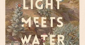 Susan Midalia reviews &#039;Where Light Meets Water&#039; by Susan Paterson
