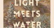 Susan Midalia reviews 'Where Light Meets Water' by Susan Paterson