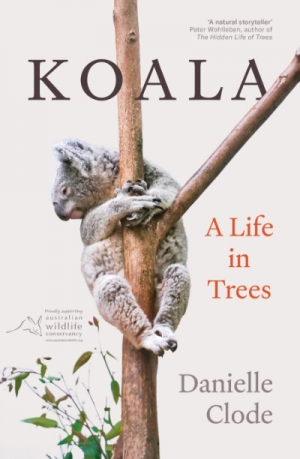 Peter Menkhorst reviews &#039;Koala: A life in trees&#039; by Danielle Clode