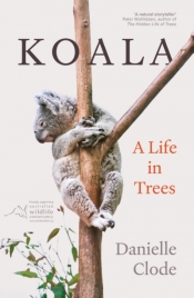 Peter Menkhorst reviews 'Koala: A life in trees' by Danielle Clode