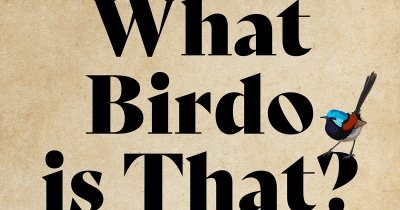 Peter Menkhorst reviews &#039;What Birdo Is That? A field guide to bird people&#039; by Libby Robin