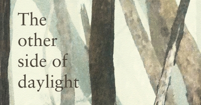 John Hawke reviews ‘The Other Side of Daylight: New and selected poems’ by David Brooks