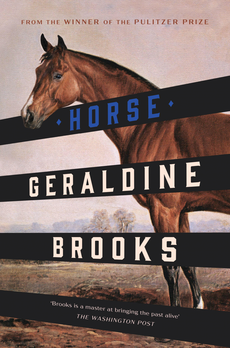 book reviews horse geraldine brooks