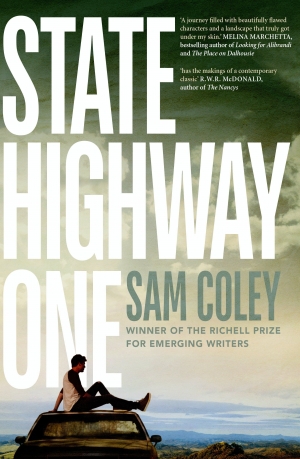 Chloë Cooper reviews &#039;State Highway One&#039; by Sam Coley