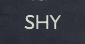 Diane Stubbings reviews 'Shy' by Max Porter