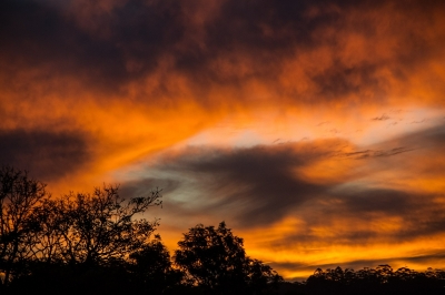 Forum | ‘The Story of Short Stories in Australia’ by Bruce Pascoe