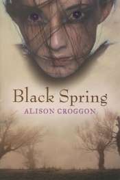 Bec Kavanagh reviews 'Black Spring' by Alison Croggon