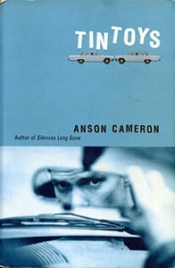 David Matthews reviews 'Tin Toys' by Anson Cameron and 'Stormy Weather' by Michael Meehan