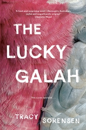 Josephine Taylor reviews 'The Lucky Galah' by Tracy Sorensen