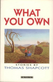 Astrid Di Carlo reviews 'What You Own' by Thomas Shapcott