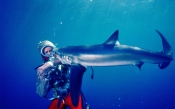 Such pretty teeth, dear: Sally Aitken's 'Playing with Sharks'