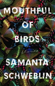 James Halford reviews 'Mouthful of Birds: Stories' by Samanta Schweblin, translated by Megan McDowell