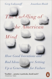 David Rolph reviews 'The Coddling of the American Mind' by Greg Lukianoff and Jonathan Haidt