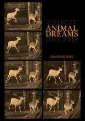 Ben Brooker reviews 'Animal Dreams' by David Brooks