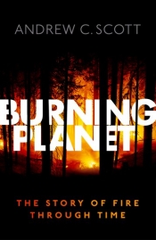 Billy Griffiths reviews 'Burning Planet: The story of fire through time' by Andrew C. Scott