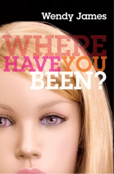 Amy Baillieu reviews &#039;Where Have You Been?&#039; by Wendy James