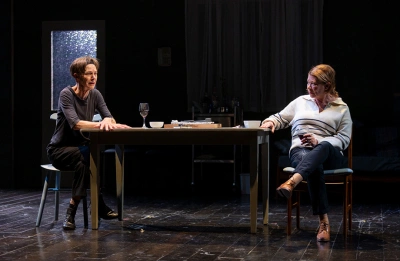 ‘The Spare Room: Helen Garner’s address to the messy chaos of existence’ by Ian Dickson
