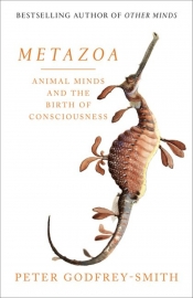 Diane Stubbings reviews 'Metazoa: Animal minds and the birth of consciousness' by Peter Godfrey-Smith