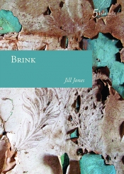 Toby Fitch reviews 'Brink' by Jill Jones and 'Passage' by Kate Middleton
