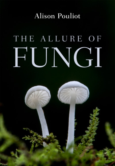 Andrea Gaynor reviews &#039;The Allure of Fungi&#039; by Alison Pouliot