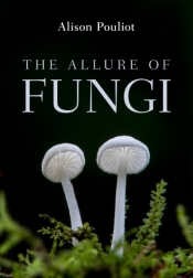 Andrea Gaynor reviews 'The Allure of Fungi' by Alison Pouliot